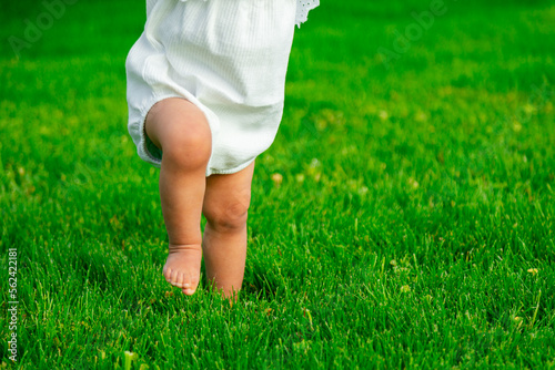 Close up of baby learning to take first steps on lawn