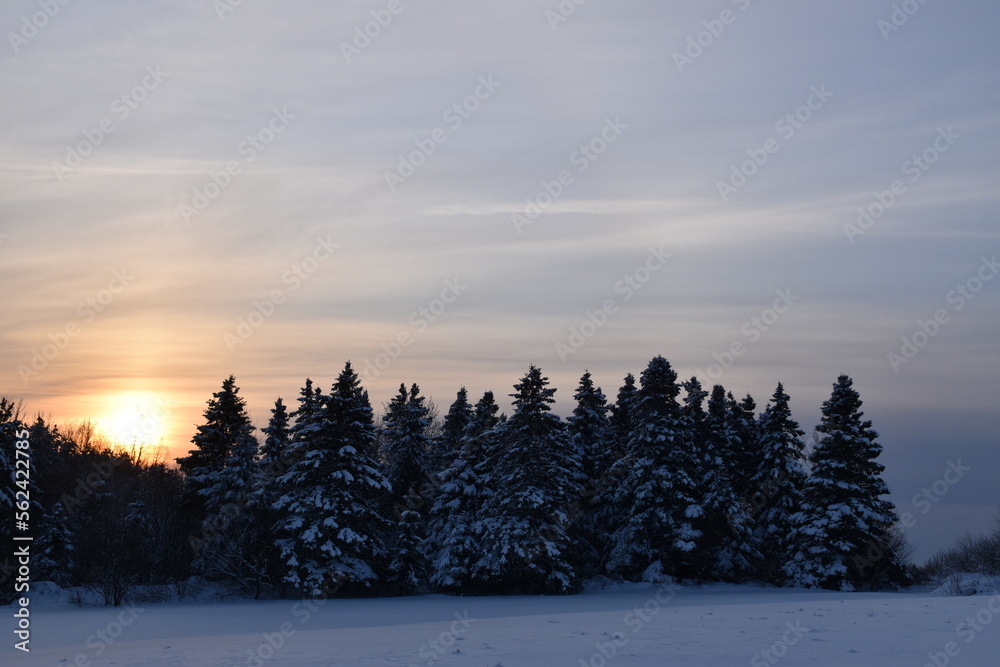 A sunrise on a winter morning, Sainte-Apolline, Québec, Canada