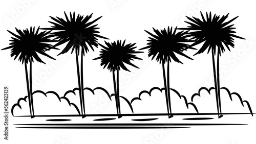 palm trees silhouettes handdrawn. vector ilustration.eps 10 photo