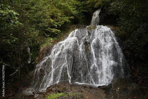 Picturesque view of small waterfall in forest