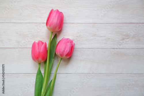 Fototapeta Naklejka Na Ścianę i Meble -  colorful tulips composition on white wooden background. Spring flowers, floral background for Mother's day, Women's day and easter event. 