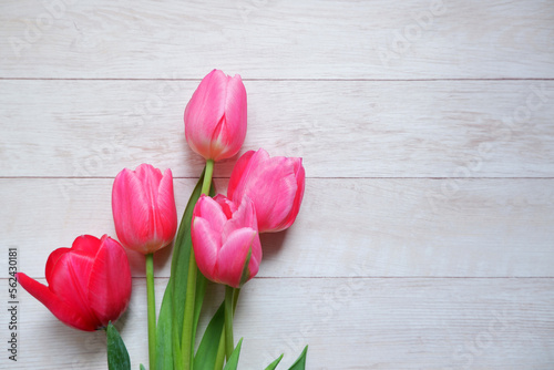 colorful tulips composition on white wooden background. Spring flowers, floral background for Mother's day, Women's day and easter event. 