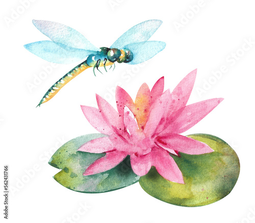 Billede på lærred Watercolor water lily. Pink lily flower and flying dragonfly