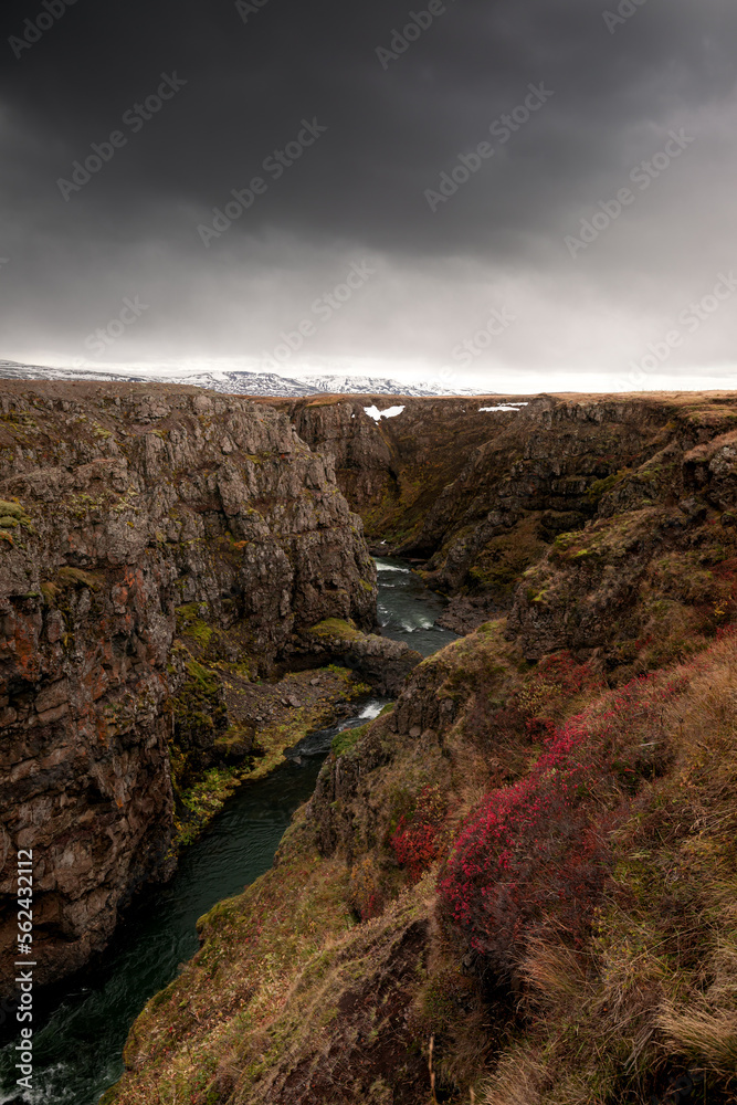 Kolugljúfur Canyon - Iceland - Autumn
