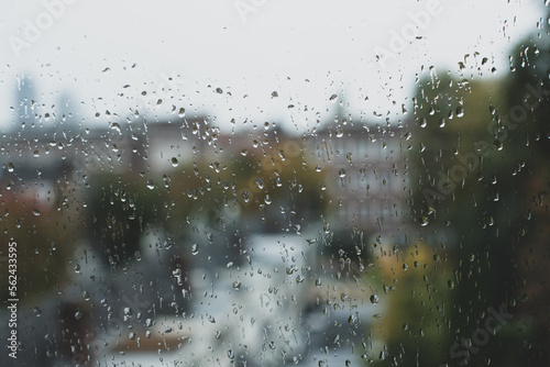 rain drops on the window