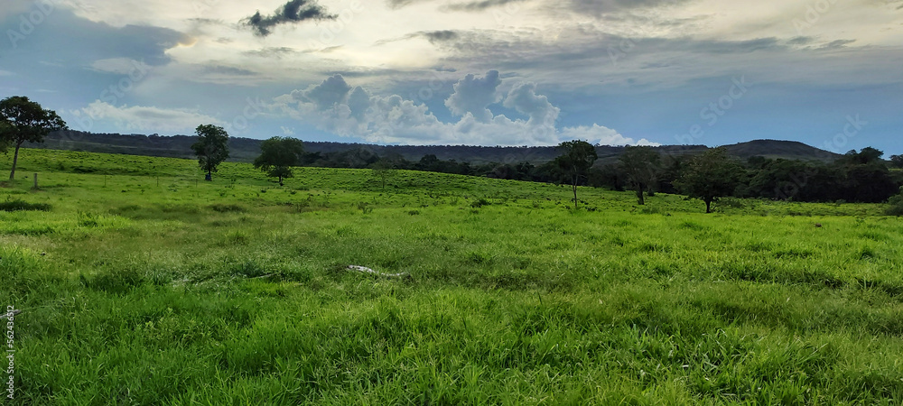 Countryside landscape with green pasture, trees, mountains in the background containing native vegetation and a blue sky with clouds on the horizon Countryside landscape with green pasture, trees, mountains in the background containing native vegetation and a blue sky with clouds on the horizon