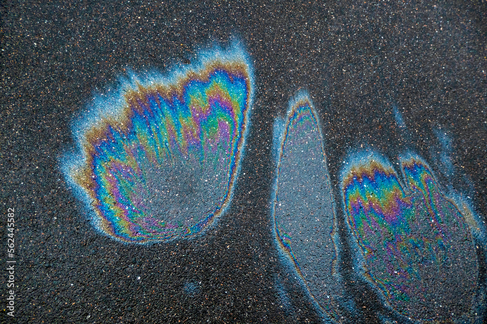 Iridescent spot of gasoline. Petrol on the asphalt a big polluted puddle water. A rainbow slick of gasoline
