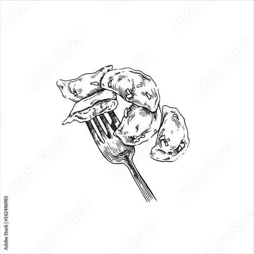 National Ukrainian cuisine, vareniks, sketch vector, isolate on white.