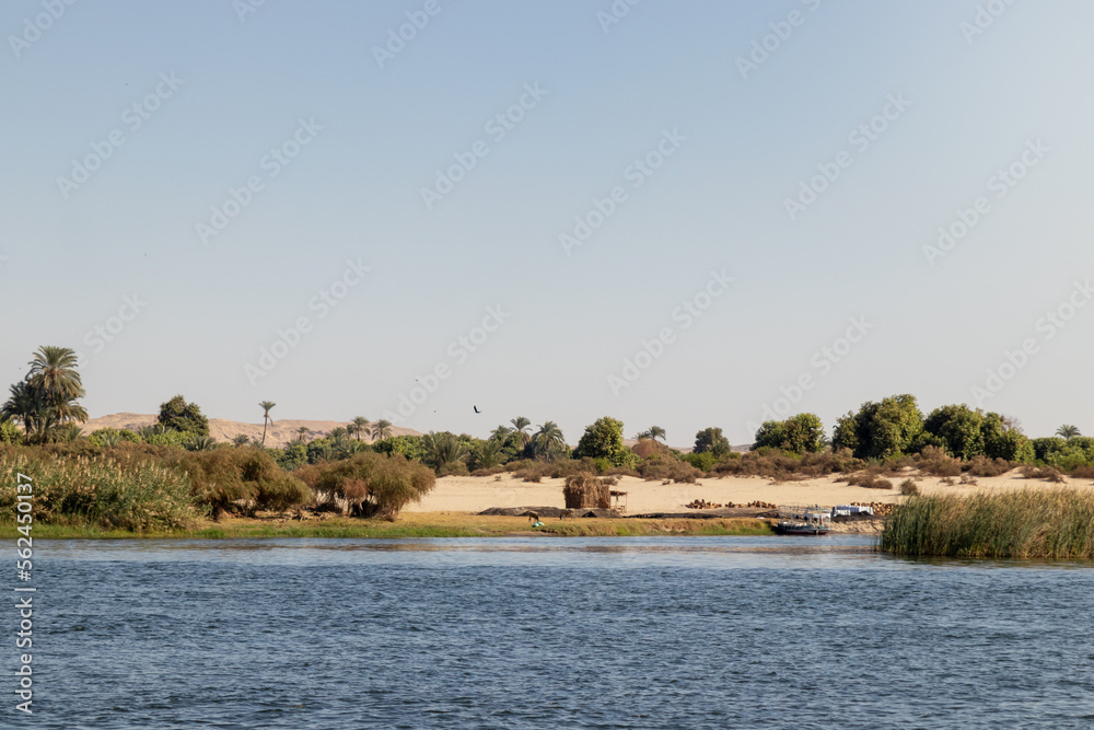 Beautiful landscape of the Nile river bank in Egypt with animals and boat and bird flying around with blue clear sky Beautiful landscape of the Nile river bank in Egypt with animals and boat and bird flying around with blue clear sky