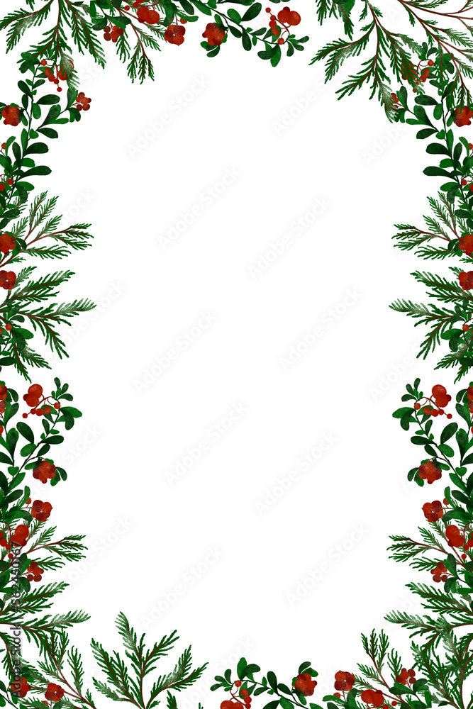 Forest plants fir tree red berries cowberry botanical illustration frame copy space Forest plants fir tree red berries cowberry botanical illustration frame copy space