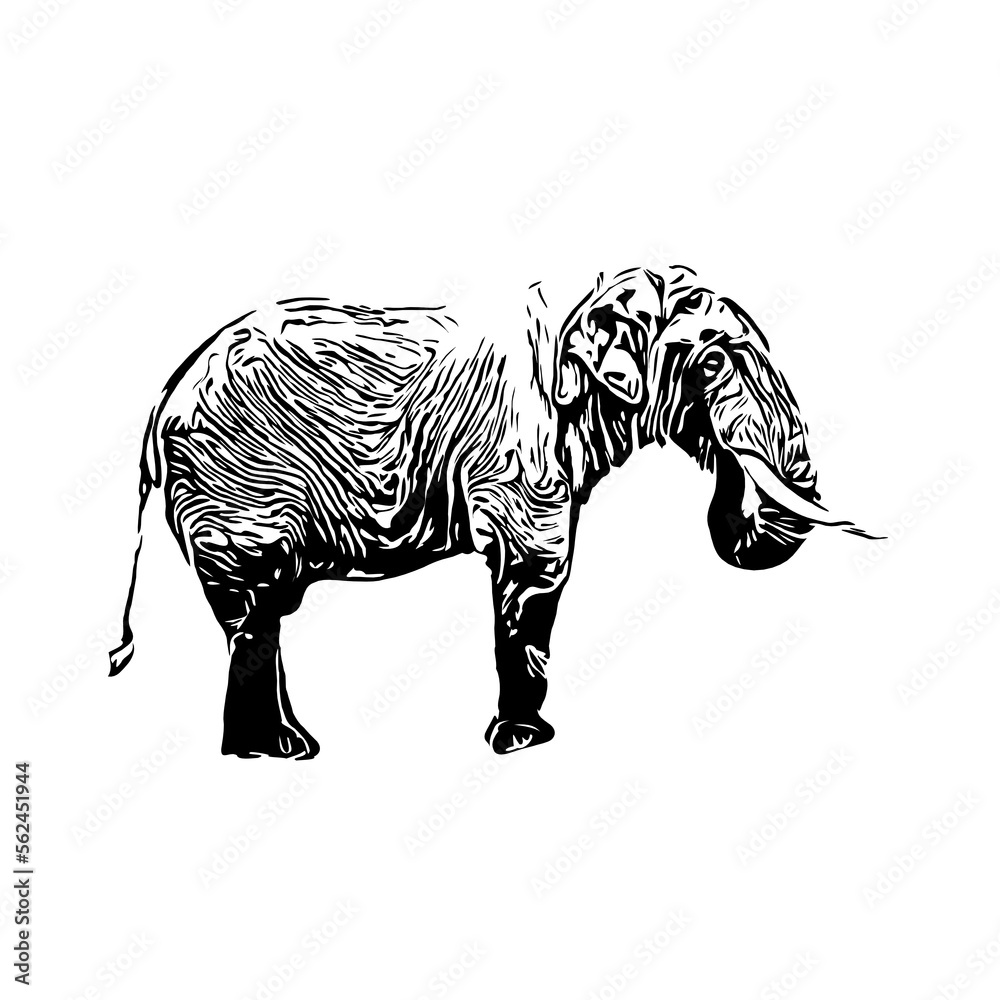 Obraz premium Black and white sketch of an elephant on a transparent background