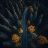 Aerial view of road in colorful autumn forest. Generative Ai