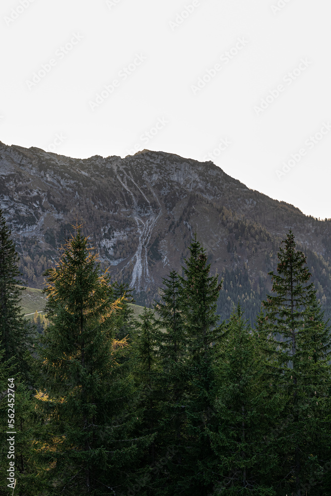 Fototapeta premium Massive mountain chain, forest and meadows of the German Alps