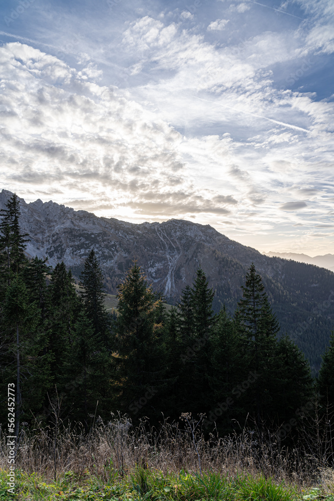 Obraz premium Massive mountain chain, forest and meadows of the German Alps