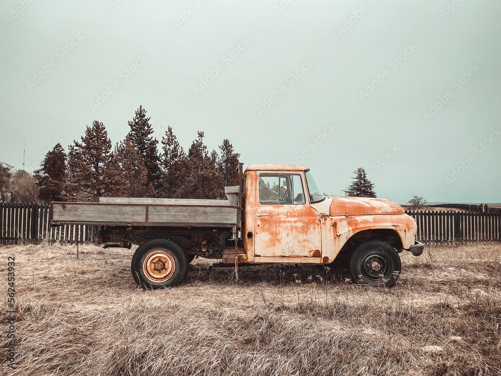 Obraz premium International Harvester pickup patagonia