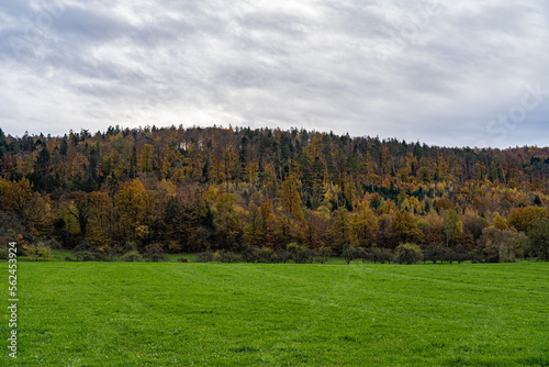 Hills and meadows near by the colorful forest