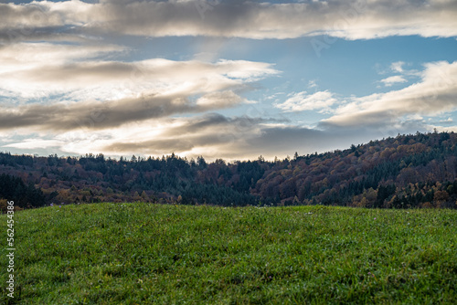 Hills and meadows near by the colorful forest