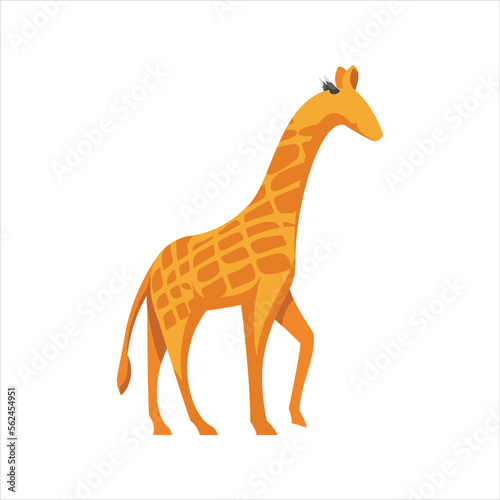 giraffe illustration design