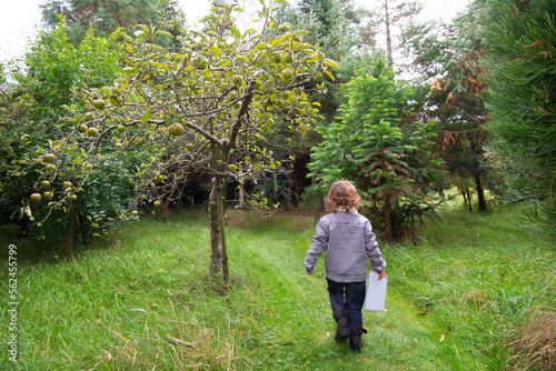 Fotografie Young child on scavenger hunt in nature.
