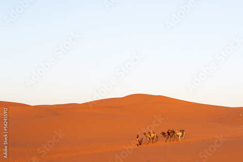un día en el desierto © Andres
