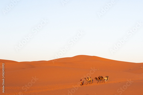 un día en el desierto