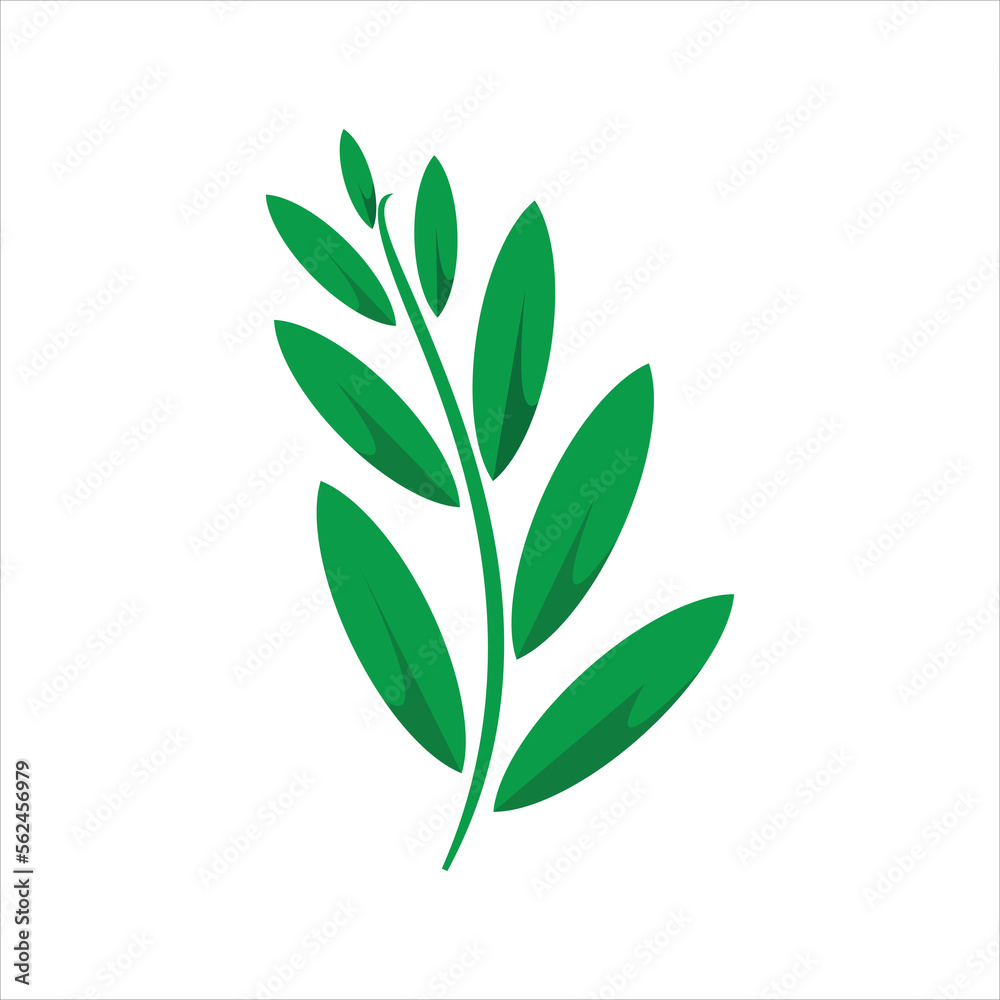 leaf illustration design