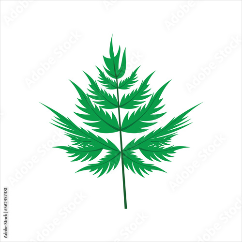 ferm leaf gradient illustration design