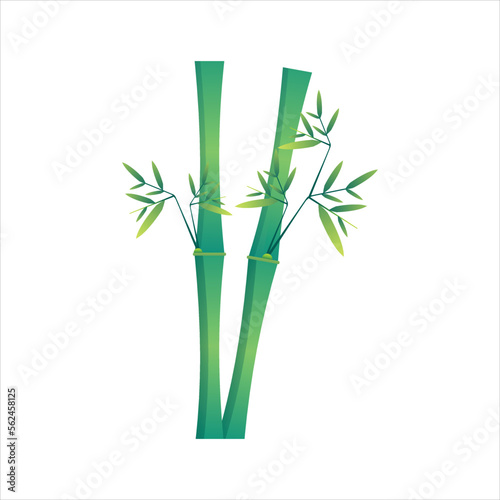 Bamboo gradient design