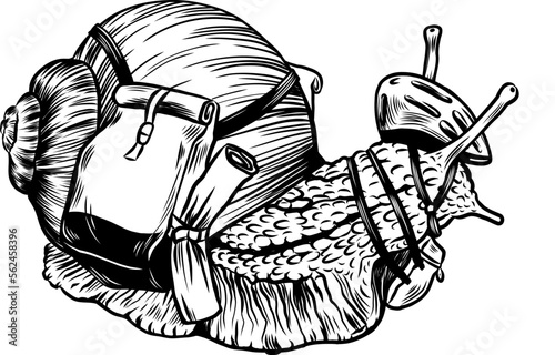 Vektor Illustration einer Schnecke mit Helm, Taschen und  Bikepacking Equipment vor ihrer Outdoor Tour