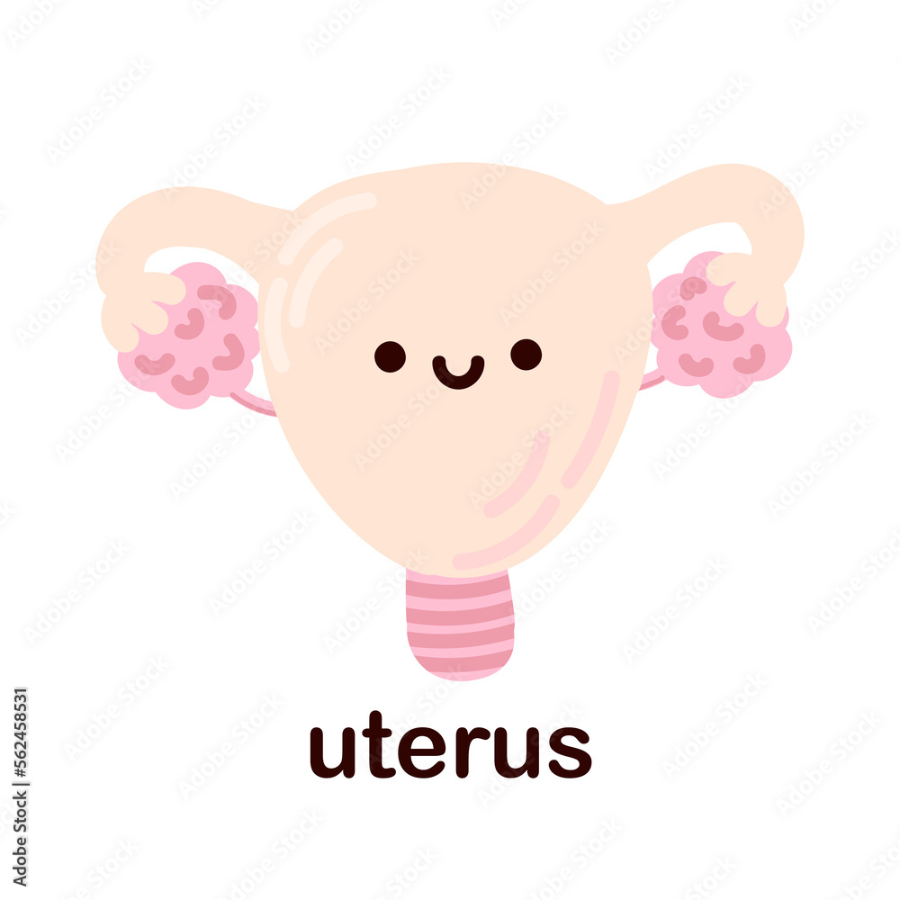 Fototapeta premium Kawaii uterus. Cute kawaii human internal organs. Cheerful children's drawings in a flat style, hand drawn, human anatomy.
