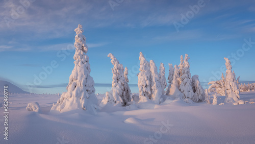 Winter landscapes on the Main Ural Ridge, Russia January photo