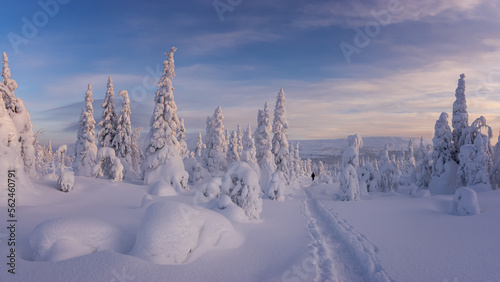 Winter landscapes on the Main Ural Ridge, Russia January