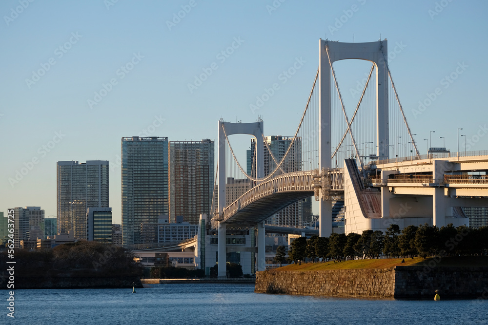 Fototapeta premium Rainbow Bridge going over Tokyo Bay in Tokyo, Japan