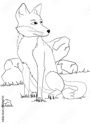Lineart of a cartoon fox sitting on the grass photo