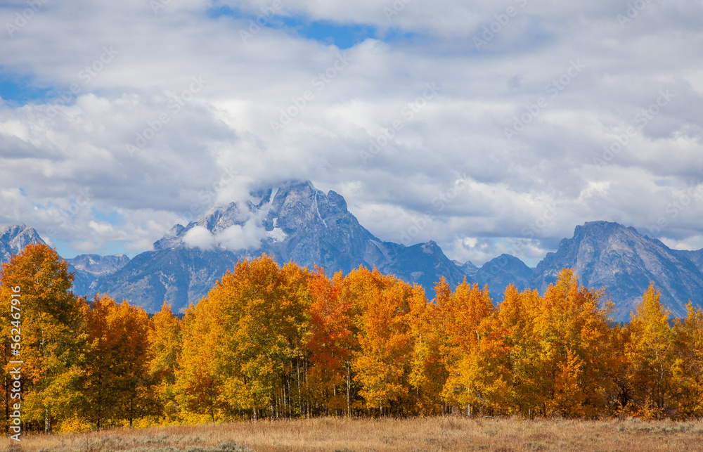 Beautiful Scenic Autumn Landscape in Grand Teton National Park Wyoming
