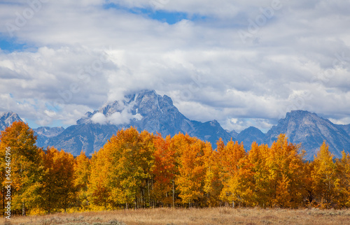 Beautiful Scenic Autumn Landscape in Grand Teton National Park Wyoming