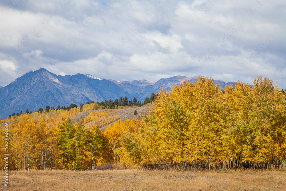 Beautiful Scenic Autumn Landscape in Grand Teton National Park Wyoming