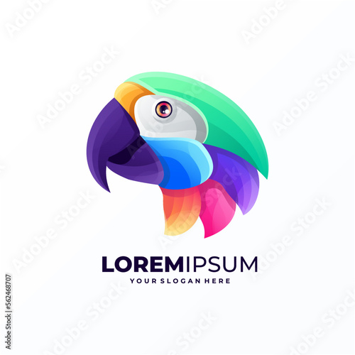 Colorful parrot logo design vector illustration.