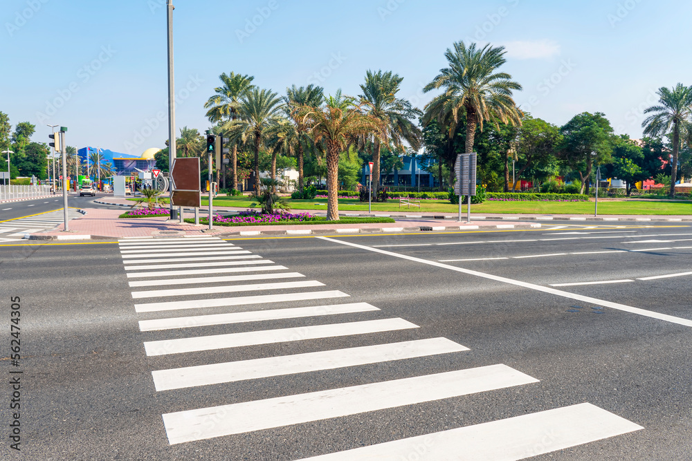 permitted traffic light signal. White stripes of pedestrian crossing. white road markings on the highway.