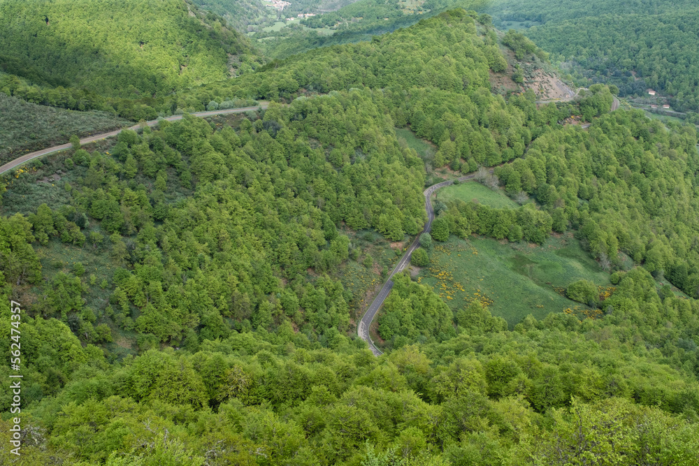 Curvy mountain road among green forests