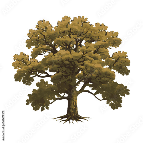 Majestic Oak Tree Vector Illustration