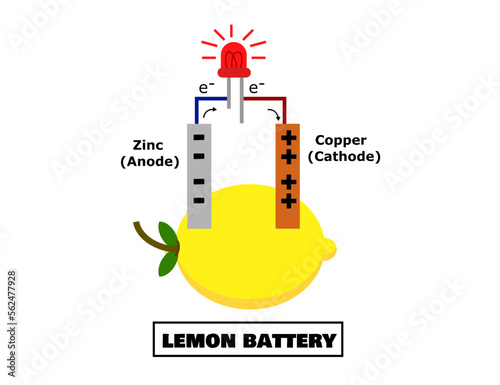 Lemon battery.Zinc and copper.Anode and cathode.Free energy electricity.Chemistry laboratory.Electrical experiments.Infographic.Education for School.Diagram for scientific.Vector illustration.