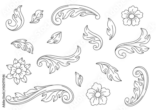 Decorative set of floral elements in baroque style. Black curling plant.