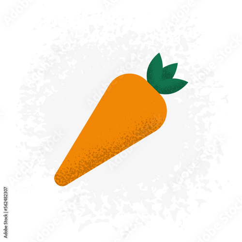 Minimalist carrot vector illustration with textures. Healthy organic food concept. Elements on different layers for ease of use. Transparent background.