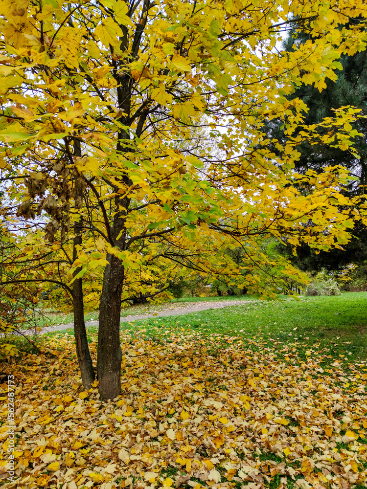 Autumn view of South Park in city of Sofia, Bulgaria