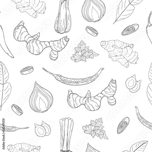 Seamless vector pattern of different black line hand drawn Thai spices on white background