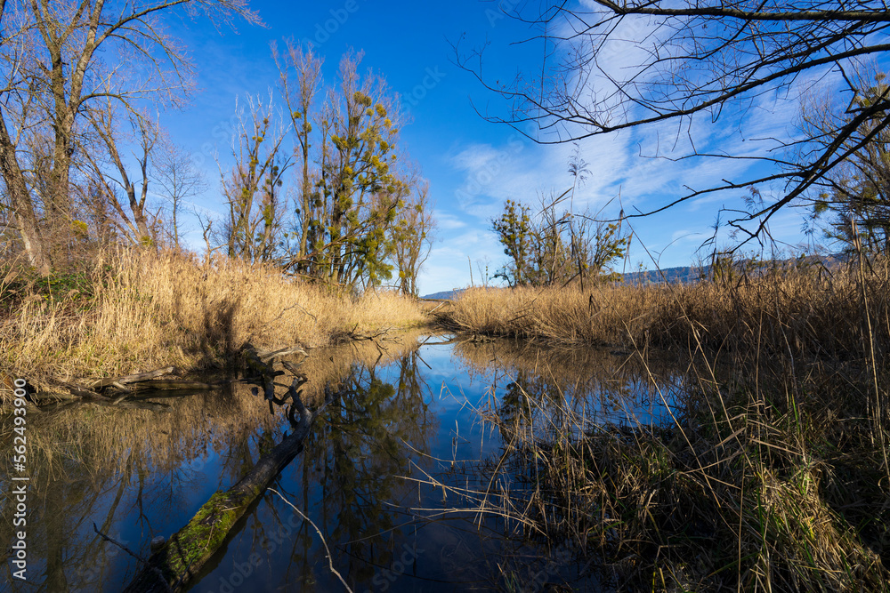 Kanal am Bodensee