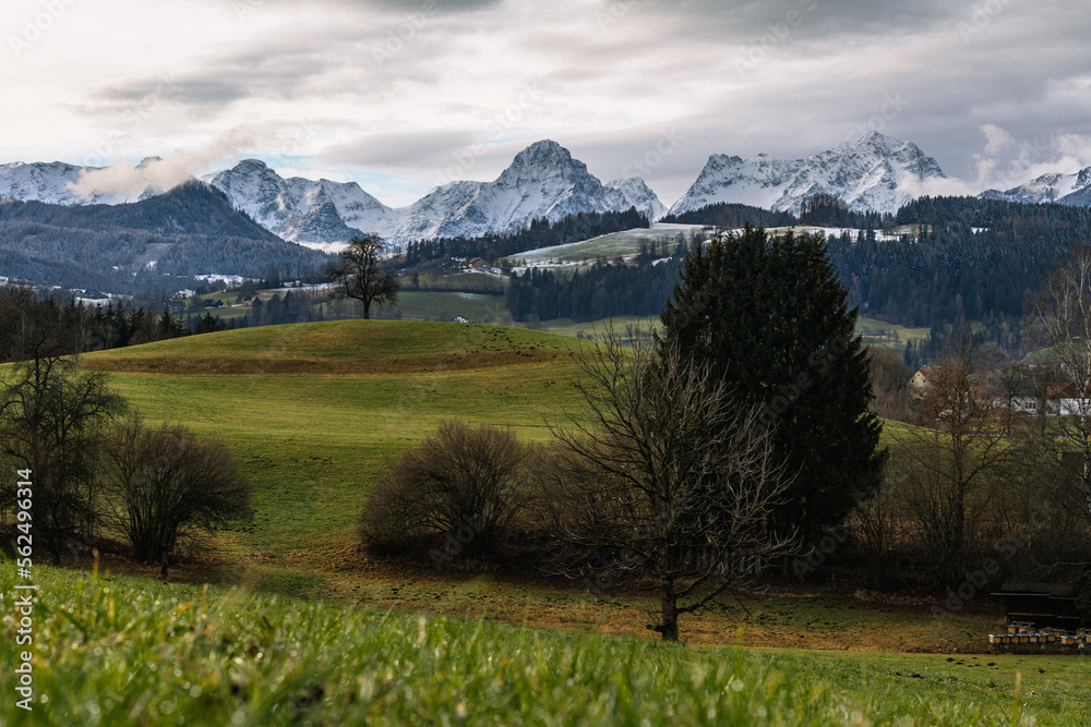 Snowy mountains and green fields in upperaustria