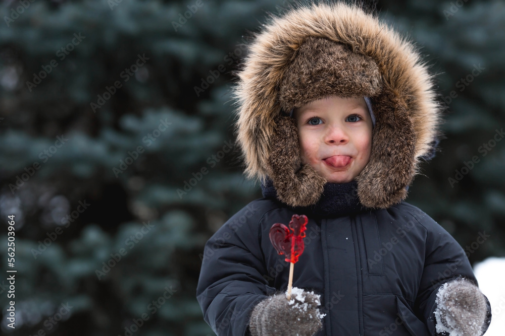 Portrait of a beautiful little Russian boy in a hat with earflaps with