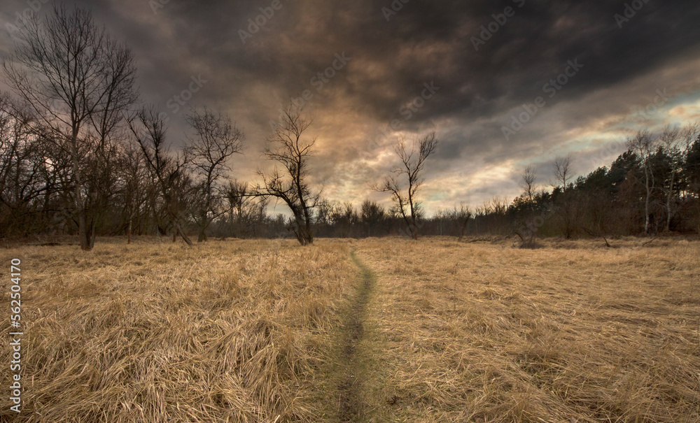 Fototapeta premium clouds over the field